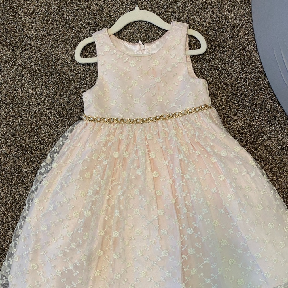 American Princess Pink Floral Dress with Gold Accents.
